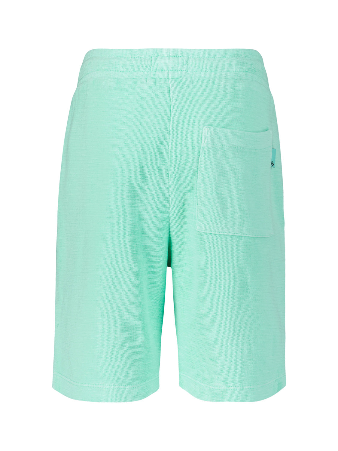 Scotch & Soda Kids Shorts Mint Green in Mint Green 6902314441-5.jpg | NICKIS.com