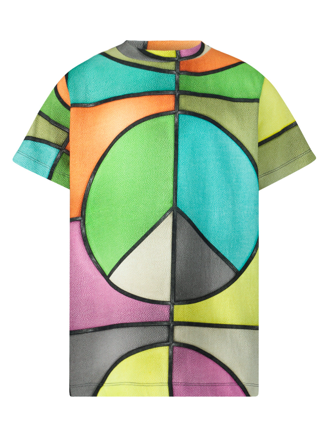 Molo Kids t-shirt Ralphie Multicoloured in Multicoloured 6903500648-1.jpg | NICKIS.com