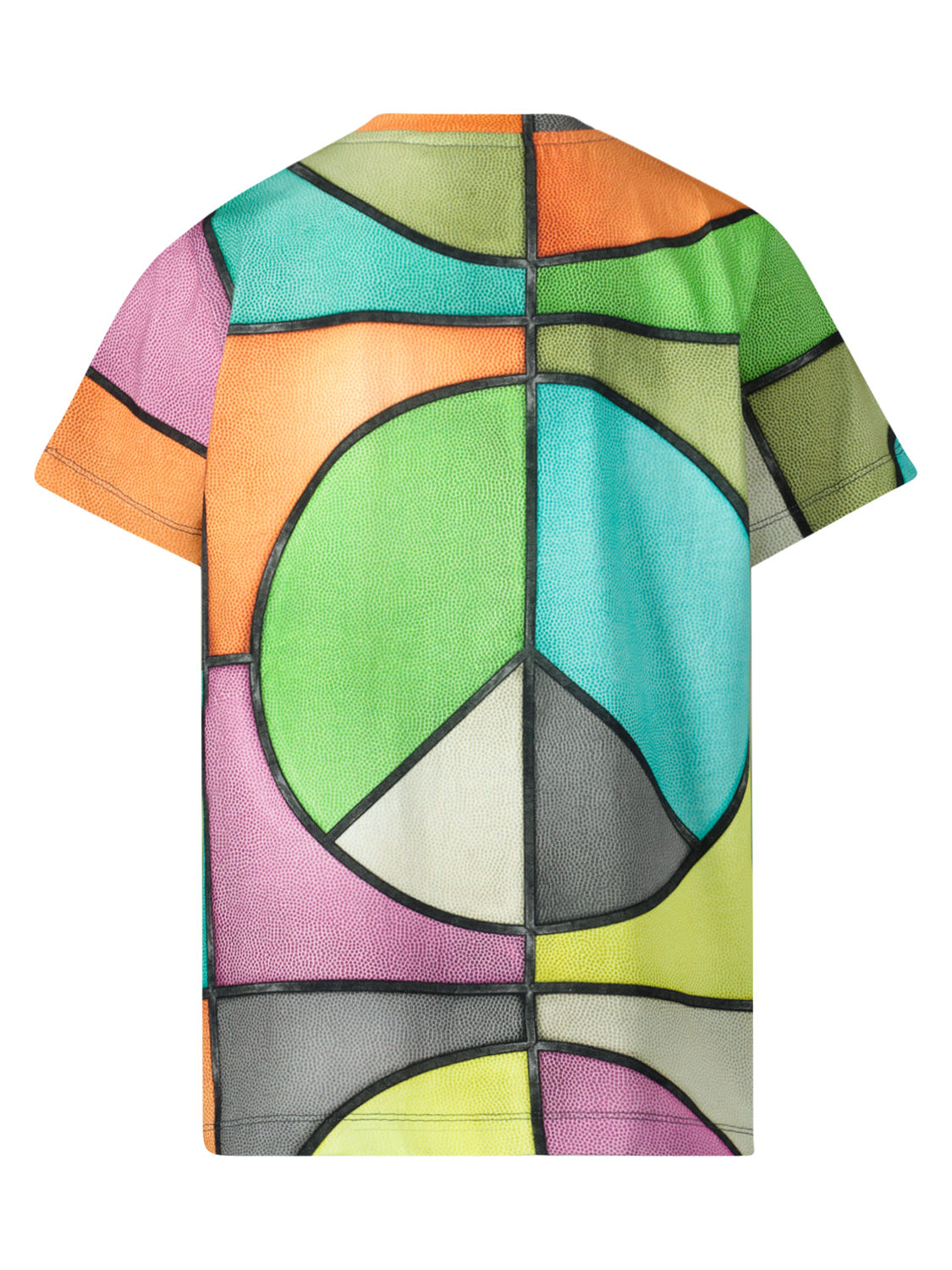 Molo Kids t-shirt Ralphie Multicoloured in Multicoloured 6903500648-4.jpg | NICKIS.com