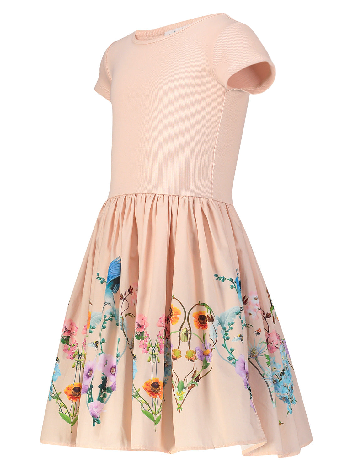 Molo Kids dress Cissa Apricot in Apricot 6904300939-4.jpg | NICKIS.com