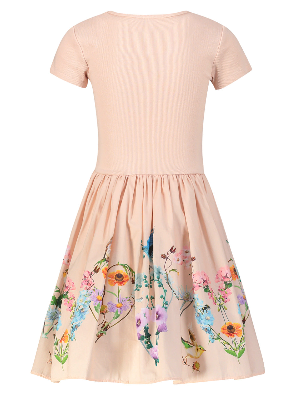 Molo Kids dress Cissa Apricot in Apricot 6904300939-5.jpg | NICKIS.com