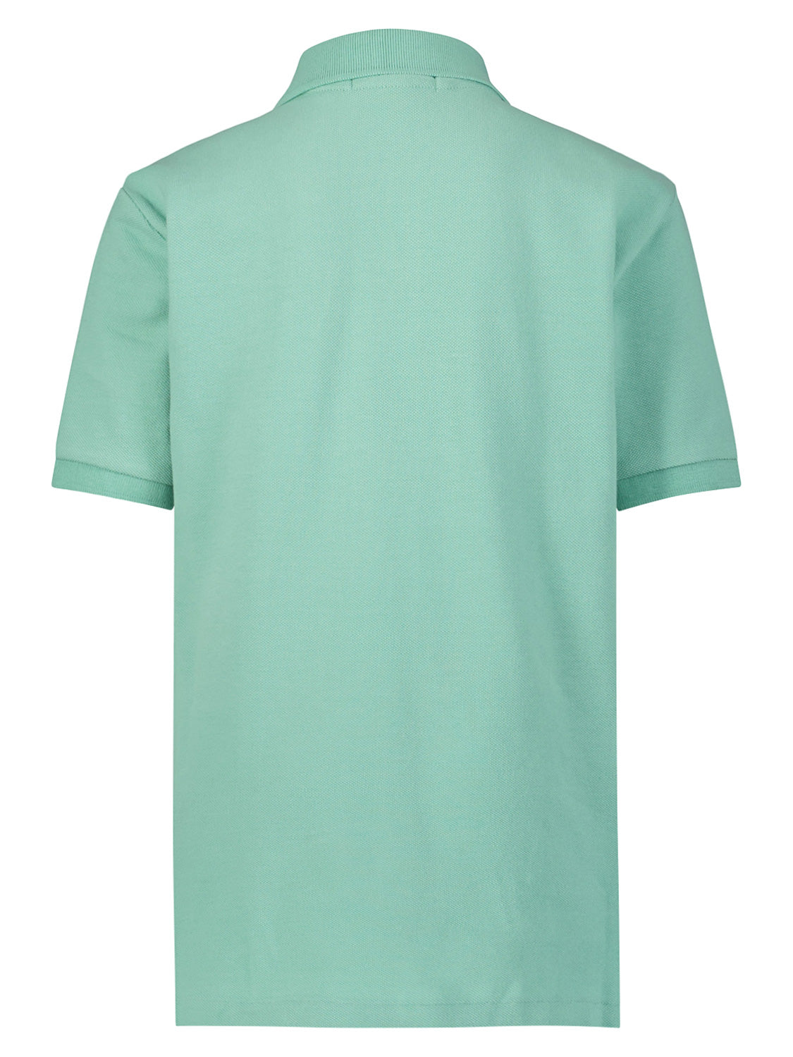 Polo Ralph Lauren Kids Polo Shirt Mint Green in Mint Green 6905423401-4.jpg | NICKIS.com