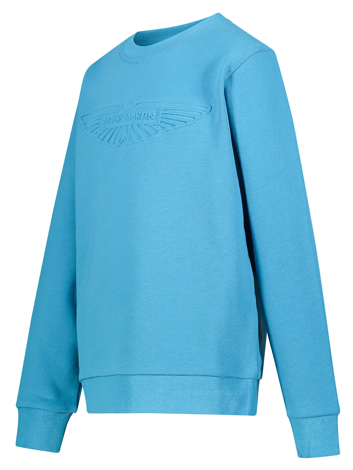 Hackett London Kids Sweatshirt Blue in Blue 6905861132-4.jpg | NICKIS.com