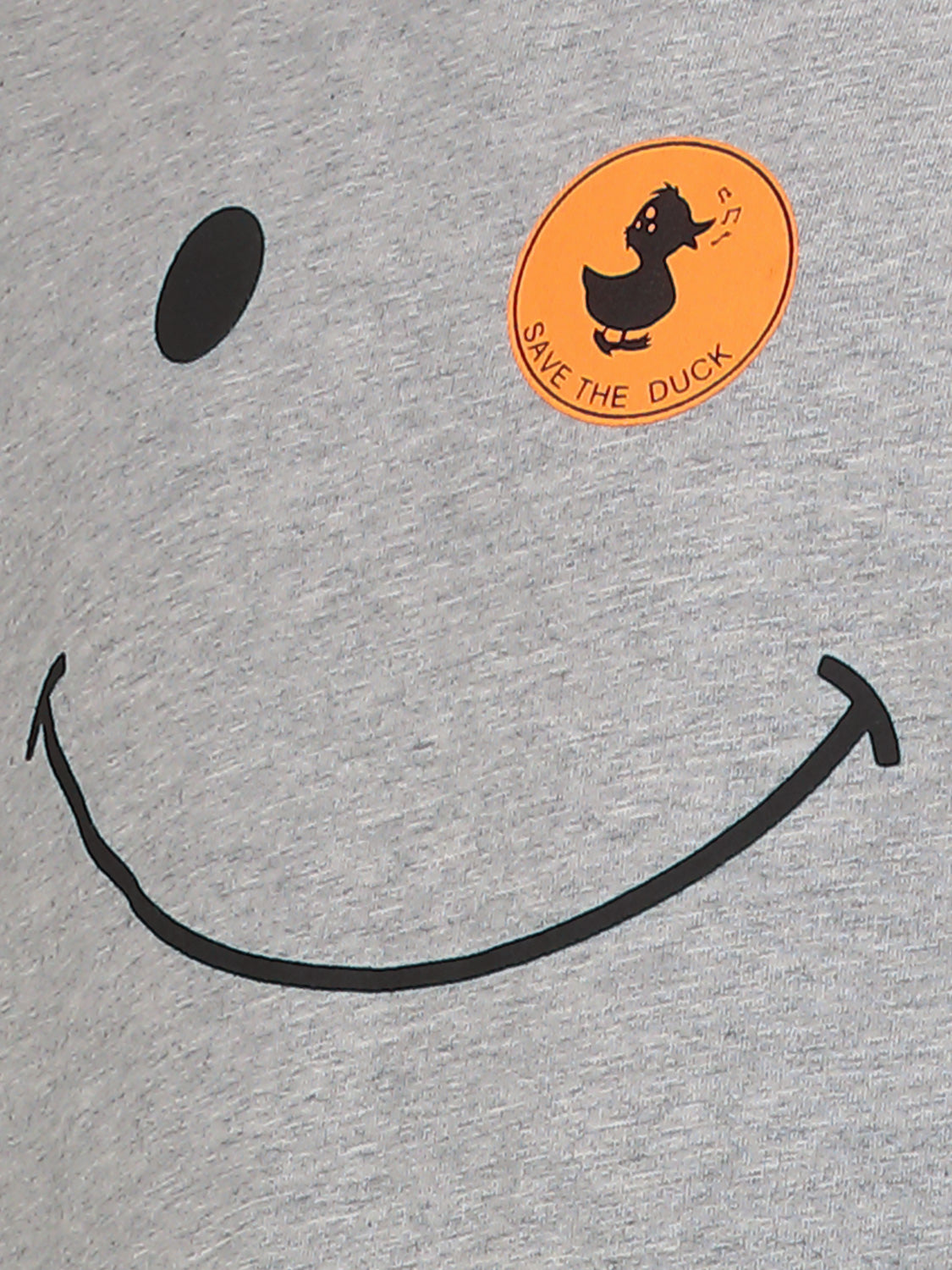 Save the Duck Kids t-shirt Asa Grey in Grey 6907141852-5.jpg | NICKIS.com