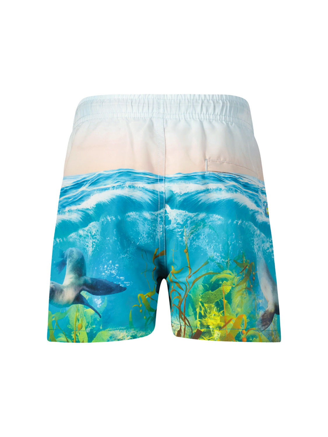 Molo Kids swim shorts Niko Blue in Blue 6907219086-5.jpg | NICKIS.com