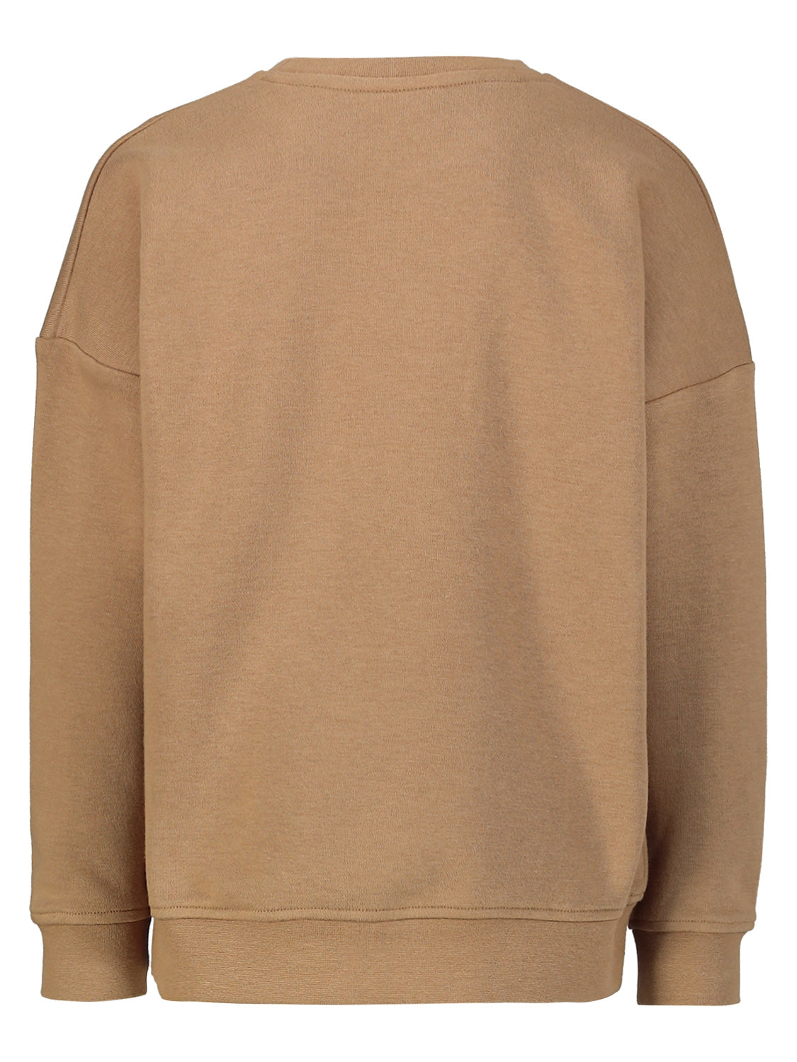 Boss Kids Sweatshirt Brown in Brown 6907312169-5.jpg | NICKIS.com