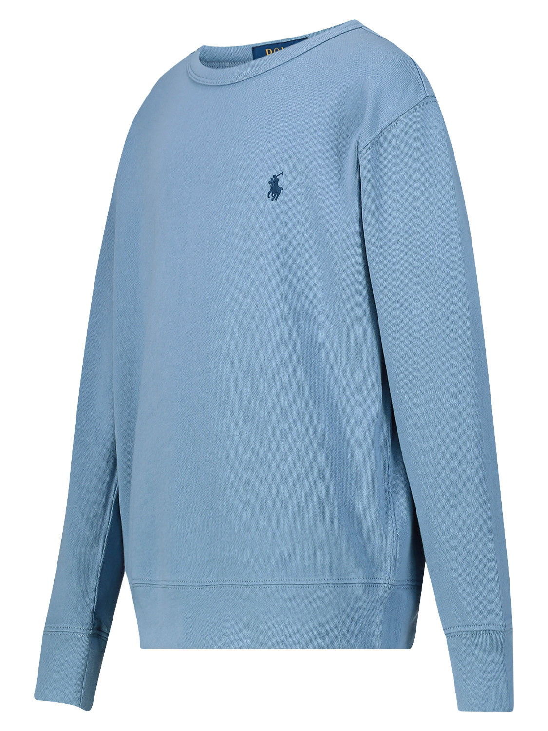 Polo Ralph Lauren Kids Sweatshirt Blue in Blue 6908172810-4.jpg | NICKIS.com