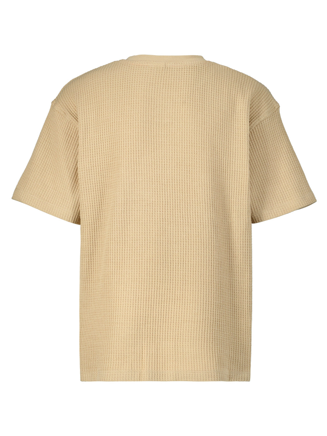 Vingino Kids t-shirt Haf Beige in Beige 6909785031-4.jpg | NICKIS.com