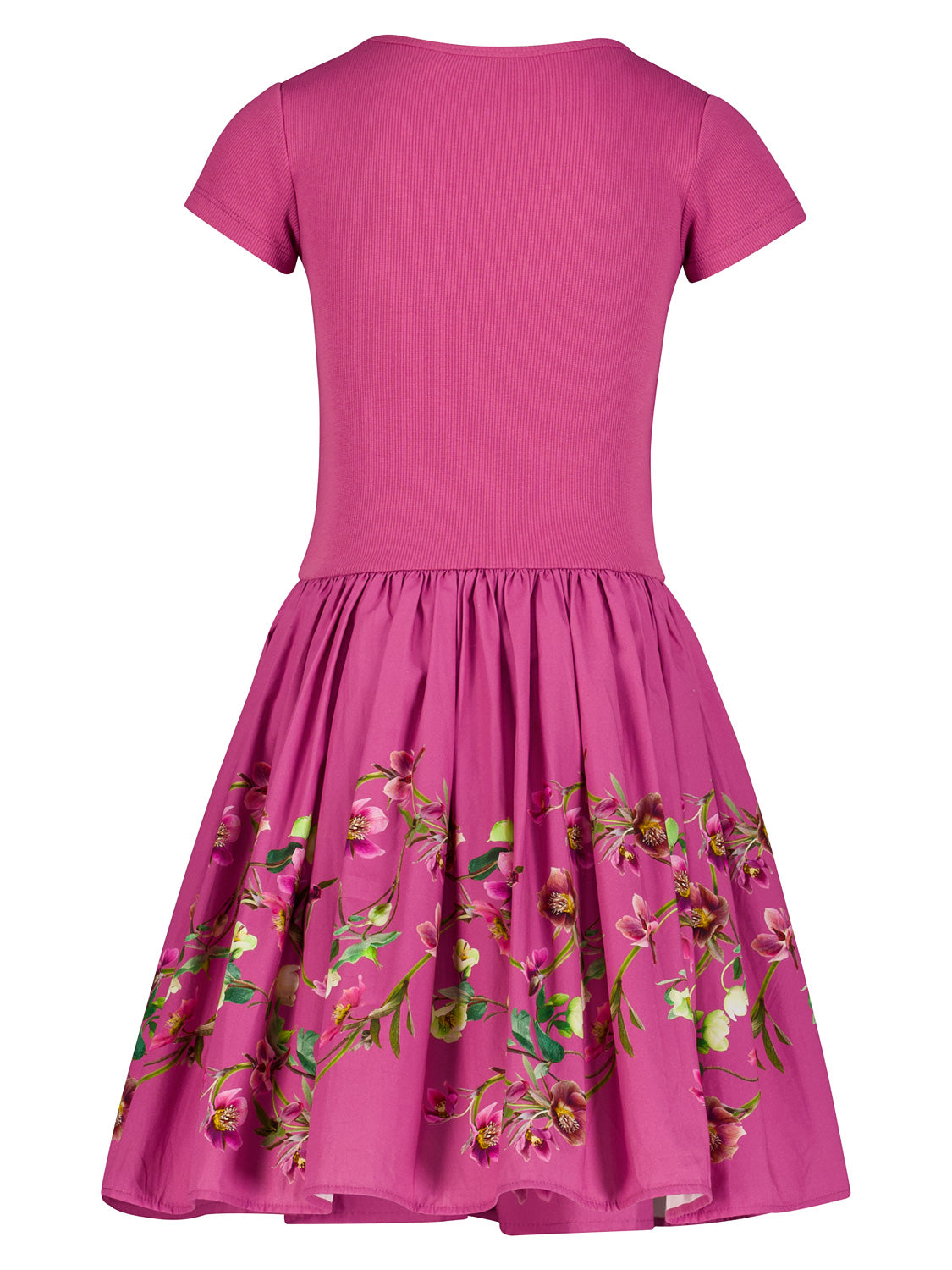 Molo Kids dress Cissa Fuchsia in Fuchsia 7003576907-4.jpg | NICKIS.com