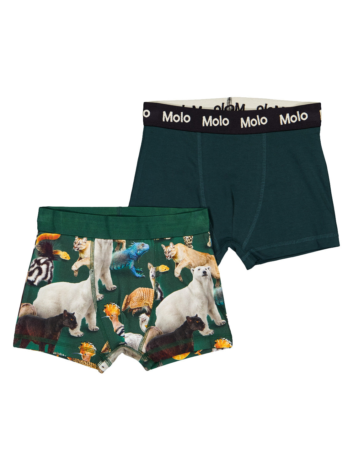 Molo Kids Boxer Shorts Justin Green in Green 7009150186-1.jpg | NICKIS.com