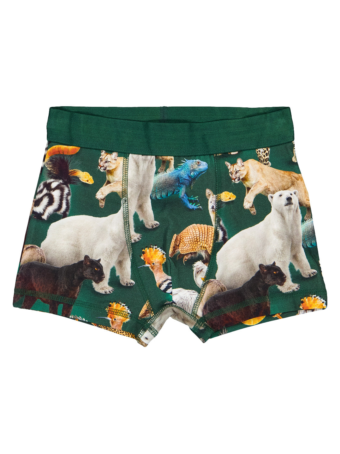 Molo Kids Boxer Shorts Justin Green in Green 7009150186-5.jpg | NICKIS.com