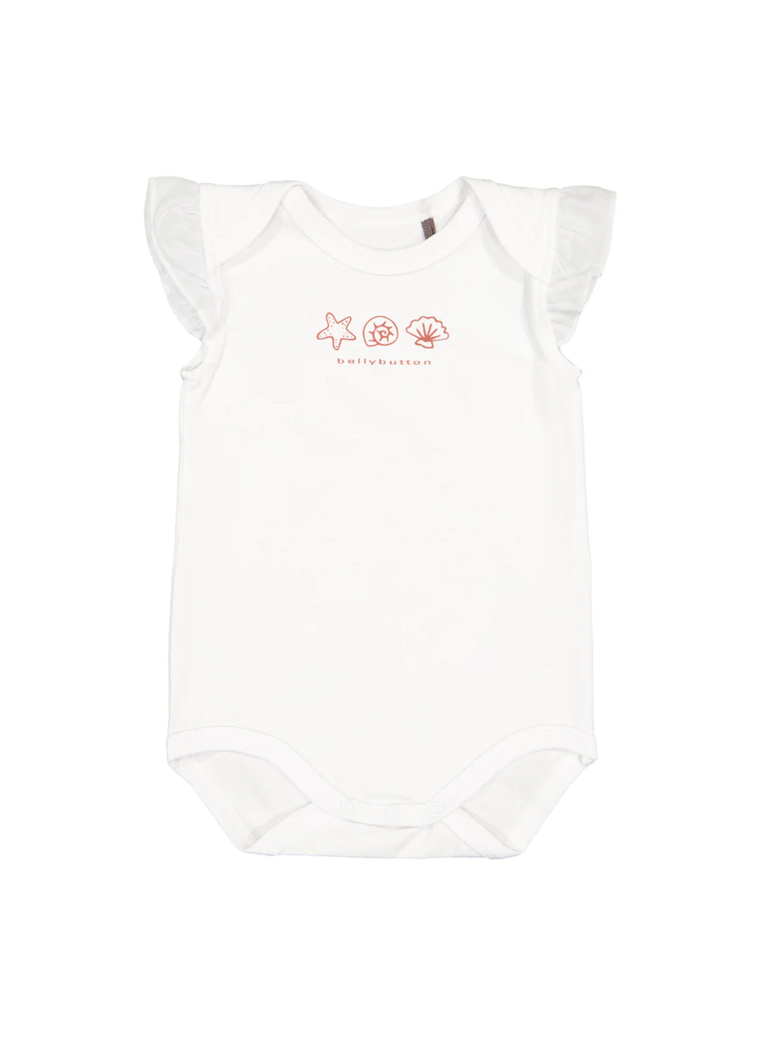 body Lot of Shells White