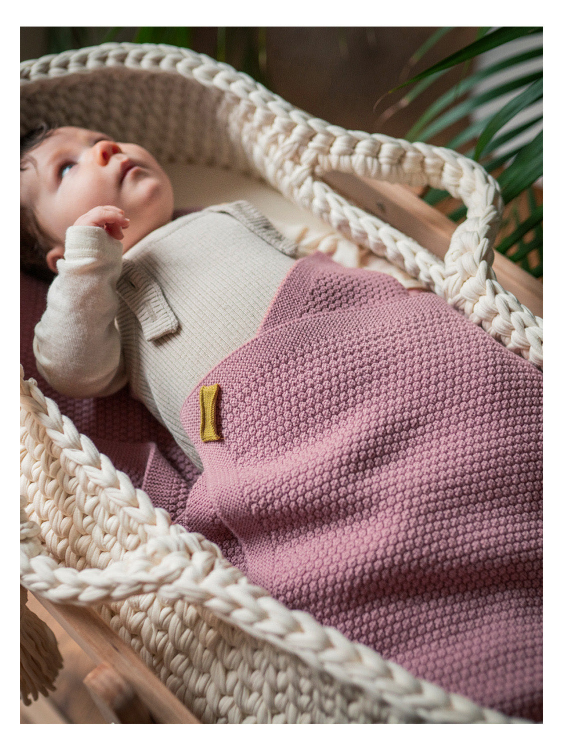 THE WOOLLY BLANKET - rose