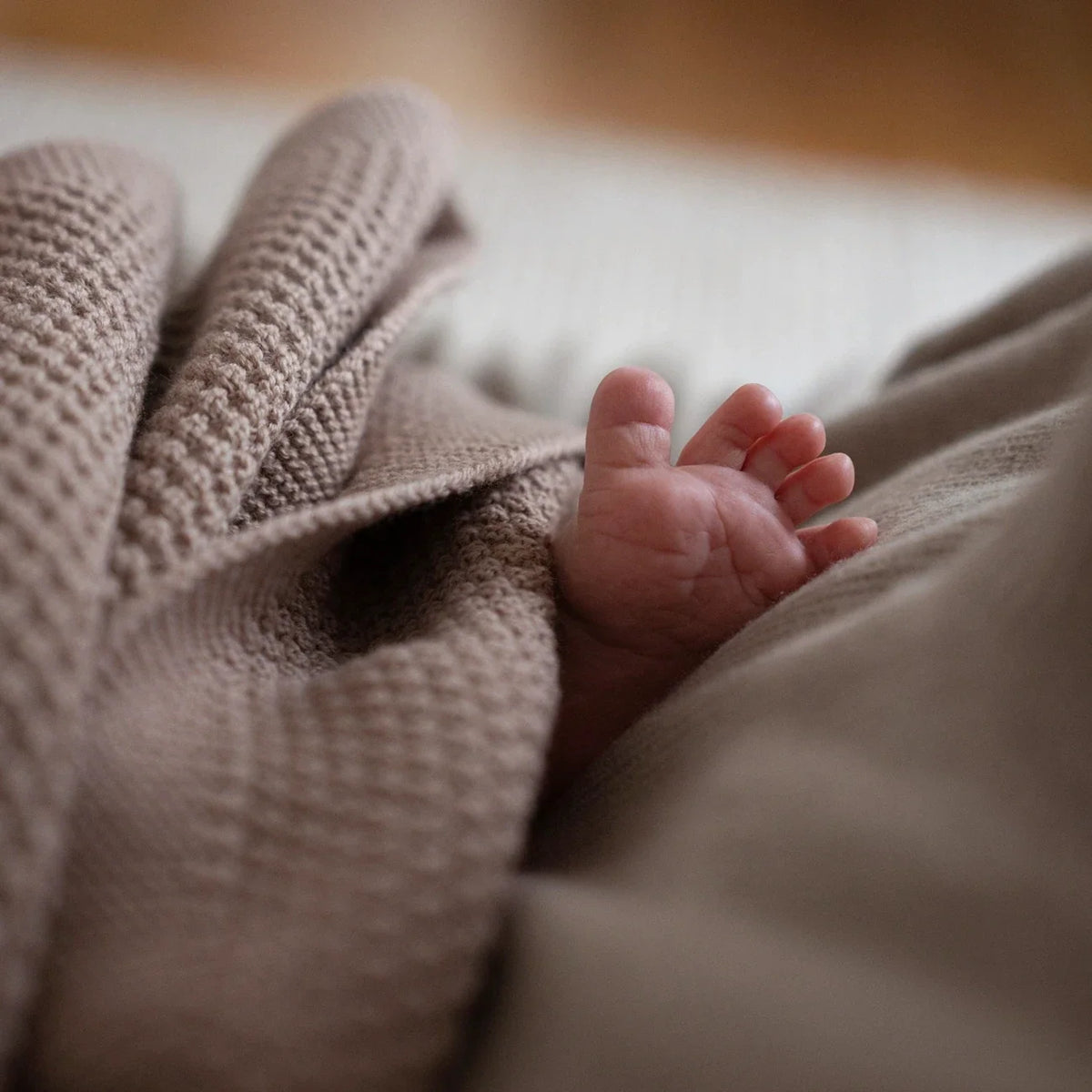 THE WOOLLY FAMILY BLANKET - cappuccino